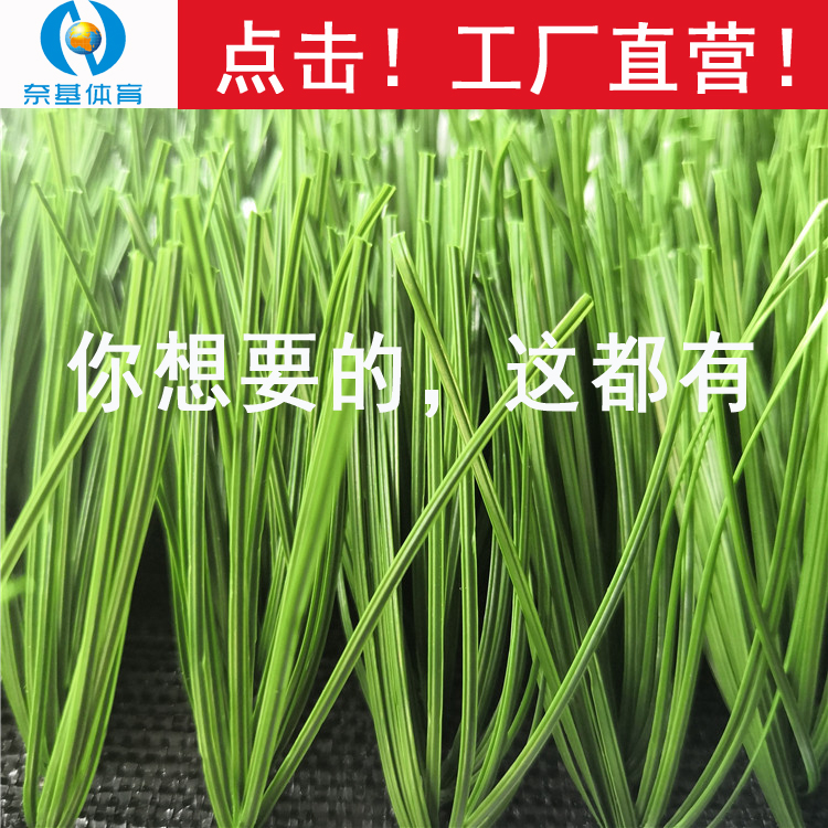 足球草单色mt-双s50 (1).jpg